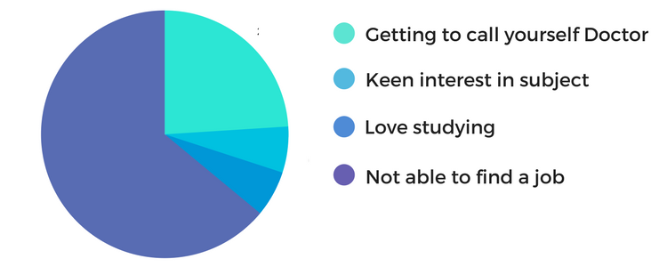 This chart describes most common motivations for considering a Ph.D. degree